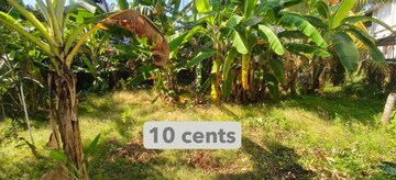  Plot For Sale in Palarivattom