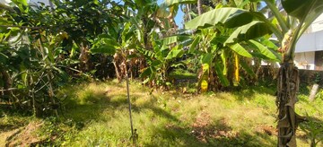  Plot – Exterior View View at Palarivattom - for Sale