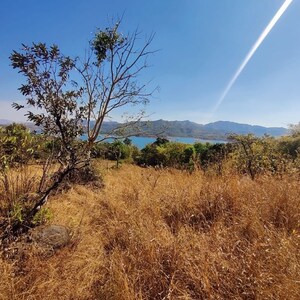 Plot Area in  Plot at Gannavaram – for Sale