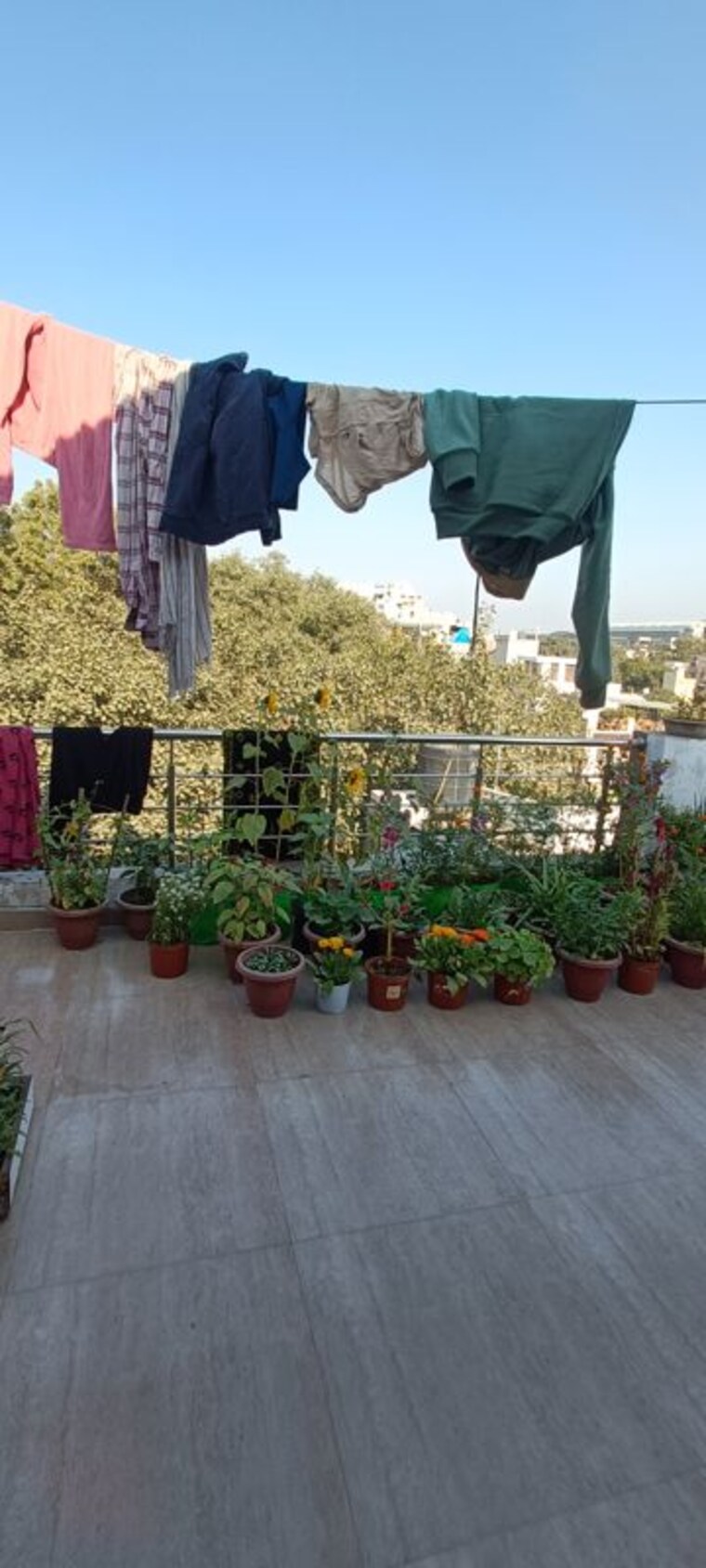 Living Room, rohini sector 8 2 Bedroom 600 Sq.Ft. Builder Floor In Rohini Sector 8 Delhi 9820529