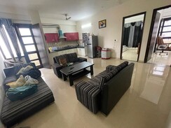 2 BHK Apartment For Rent in Ardee City