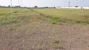 Plot Area in  Plot at Ojhar – for Sale