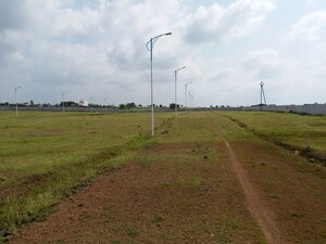 Plot Area in  Plot at Ojhar – for Sale