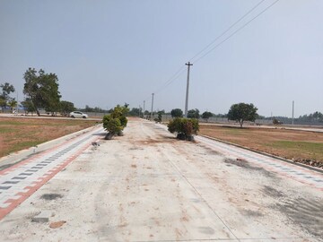 Plot Area in  Plot at Kk Nagar – for Sale
