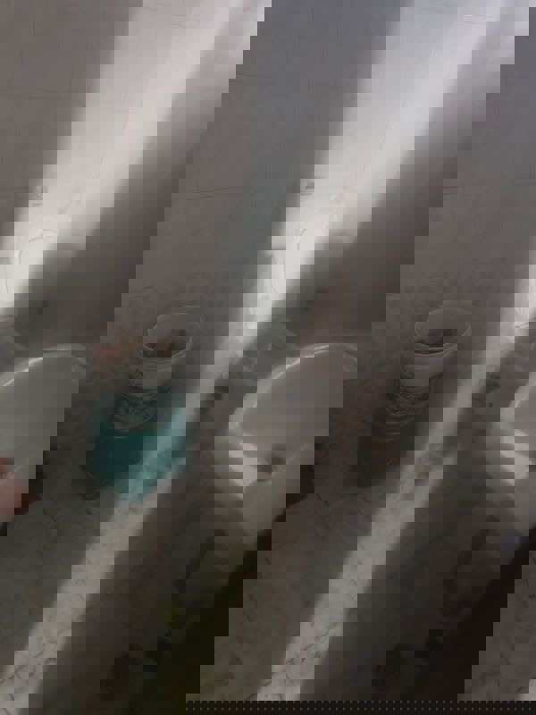 2 BHK Independent House For Rent in Sector 11