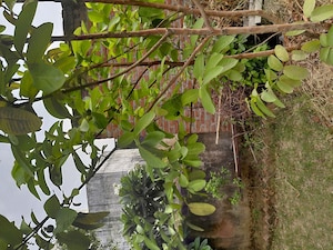  Plot For Sale in New Moradabad