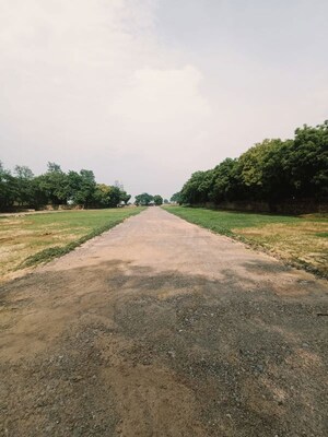 Plot Area in  Plot at Alipur – for Sale