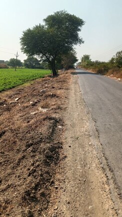 Land For Sale in Paliya