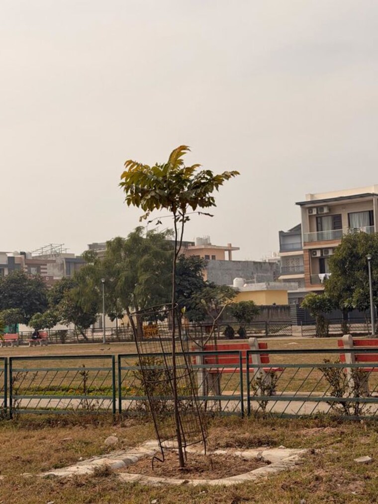 Exterior View, aerocity  250 Sq.Yd. Plot In Aerocity Mohali 9823975