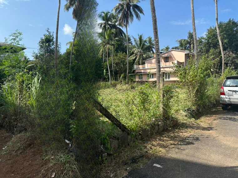 undefined, kuttanellur  4573 Sq.Ft. Plot In Kuttanellur Thrissur 9824201