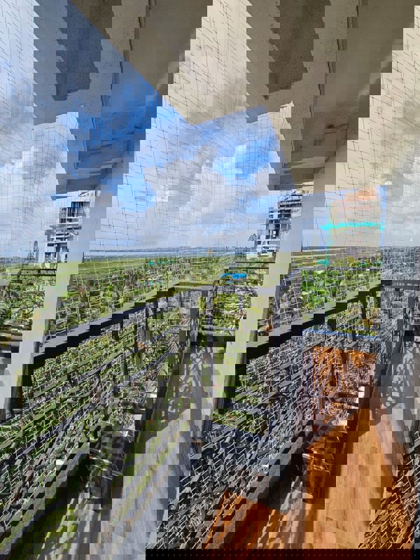 1 BHK + Pooja Room Apartment For Rent in Green Ocean Malad 