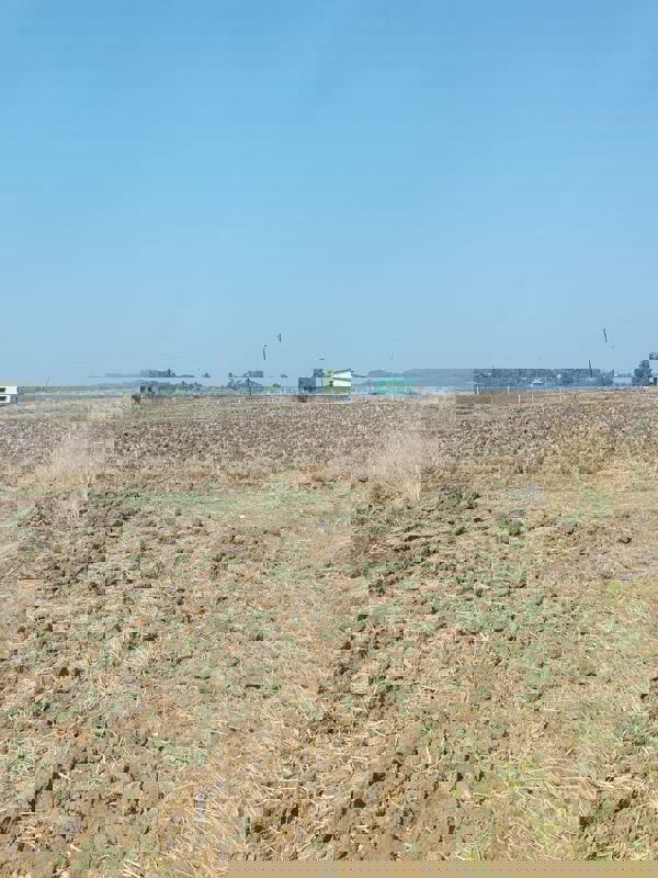 Plot For Sale in Vindhane