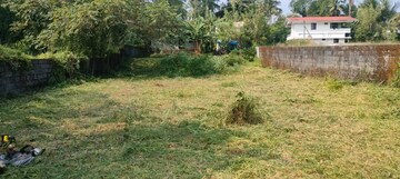 Plot Area in  Land at Kuttanellur – for Sale