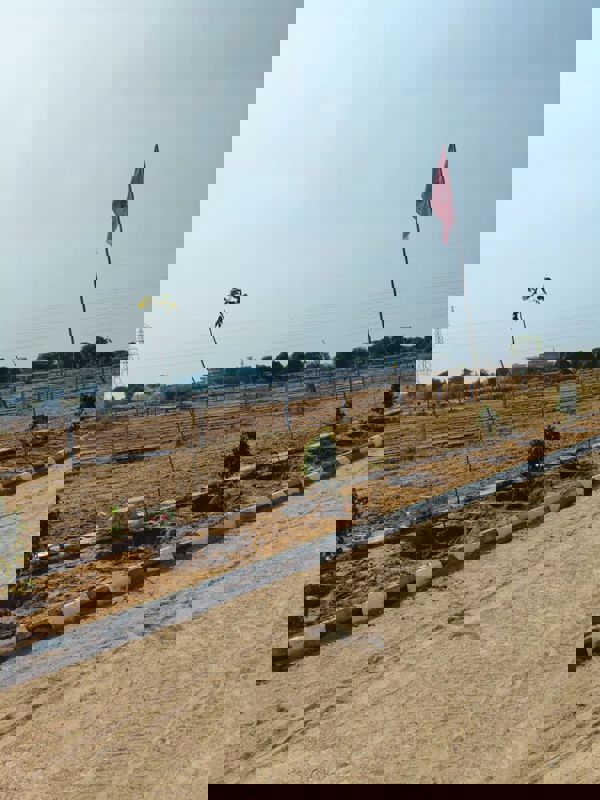 Plot For Sale in DLB Residency