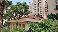 3.5 BHK + Study Room Apartment For Sale in Amrapali Princely Estate