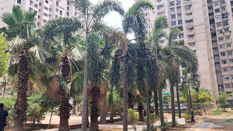 Exterior View, amrapali-princely-estate 3.5 Bedroom 1455 Sq.Ft. Apartment In Sector 76 Noida 9824305