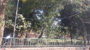  Plot – Garden View at Sector 61 - for Sale