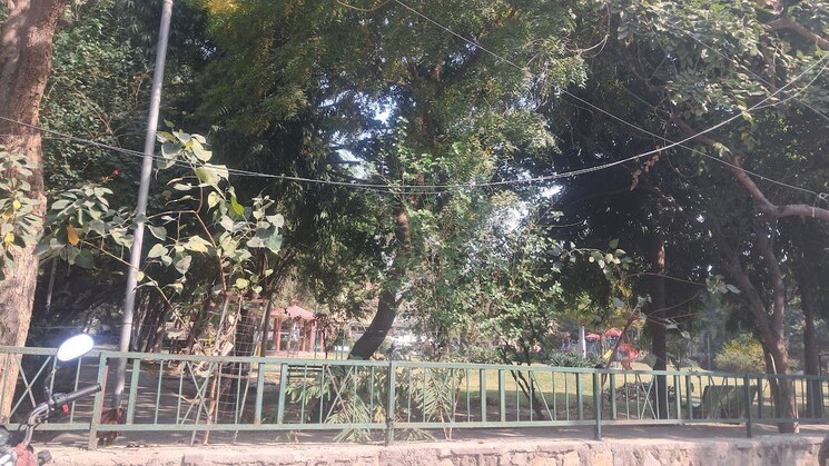 Garden, sector 61  450 Sq.Mt. Plot In Sector 61 Noida 9820628