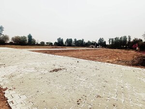  Plot For Sale in Alipur