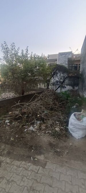 Plot Area in  Plot at Patiala Road – for Sale