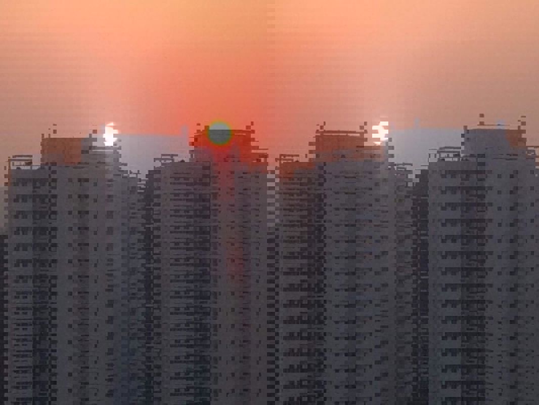 2 BHK + Pooja Room Apartment For Rent in Kolte Patil Life Republic Sec R7 7th Avenue I