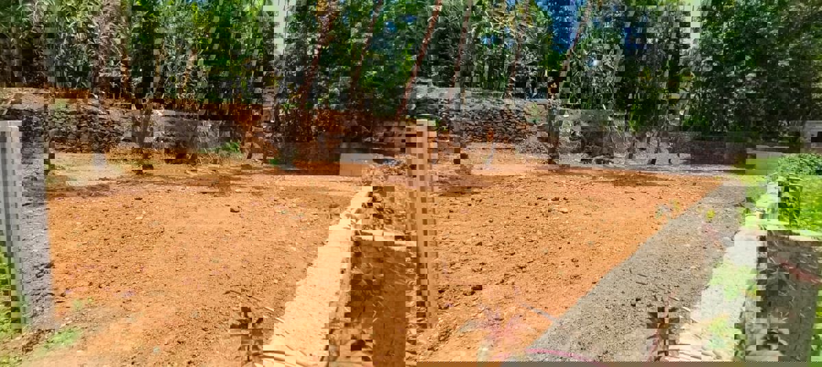 Plot For Sale in Viyyur