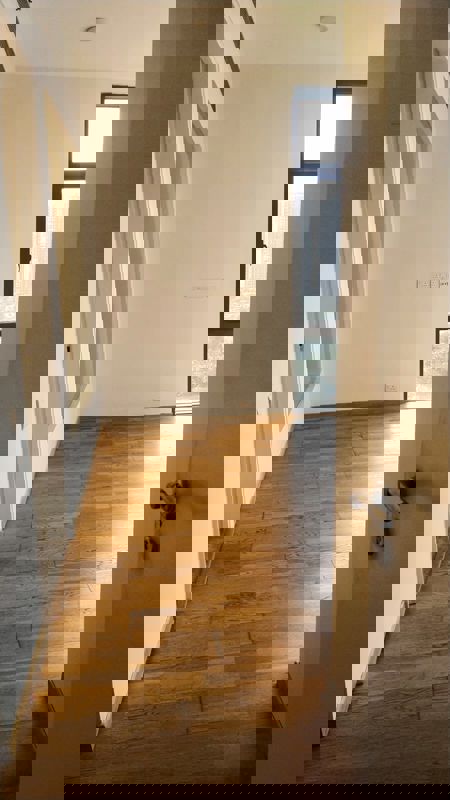 2 BHK +Apartment For Rent in Ireo The Grand Arch