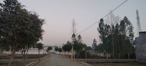 Plot Area in  Plot at Mohanlalganj – for Sale