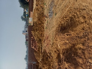 Plot Area in  Plot at Nacholi – for Sale