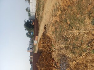  Plot For Sale in Nacholi