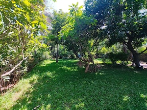 3 BHK Independent House – Garden View at Kanathur - for Rent