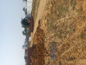  Plot For Sale in Nacholi