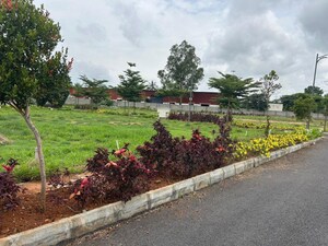 Plot Area in  Plot at Kaggalipura – for Sale