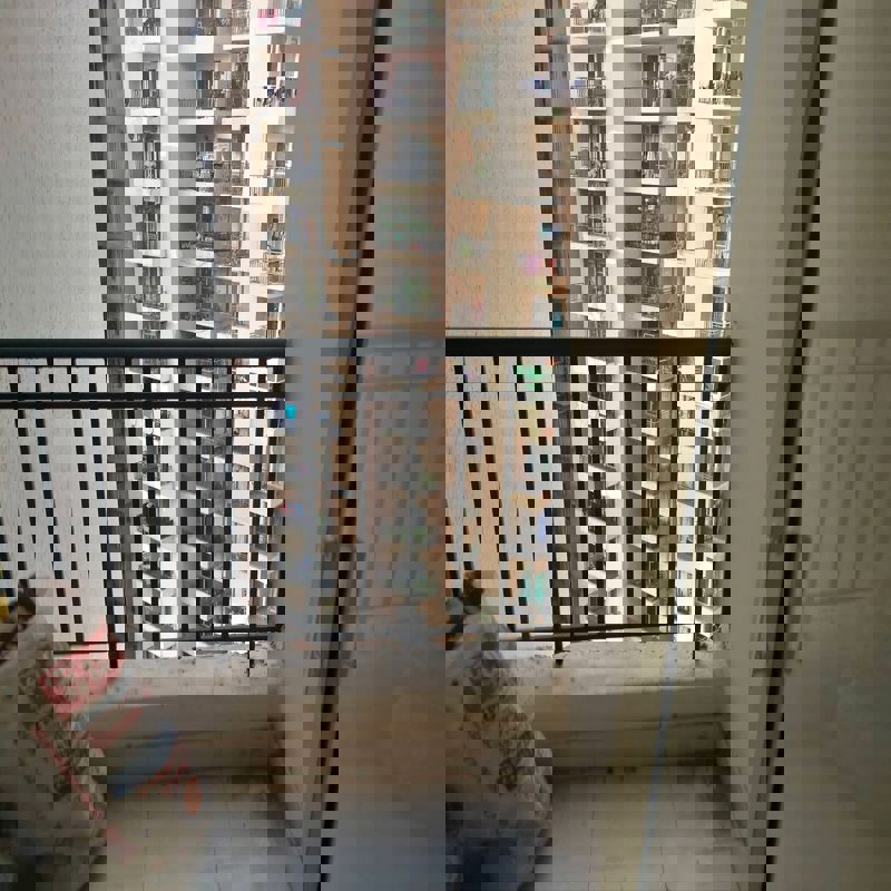 2 BHK Apartment For Rent in Radicon Vedantam