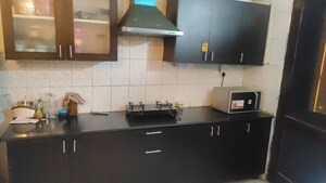 2 BHK Apartment For Rent in Tulip Lemon, Sector 69