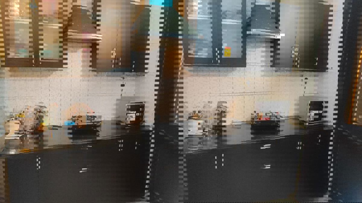 2 BHK + Study Room Apartment For Rent in Tulip Lemon