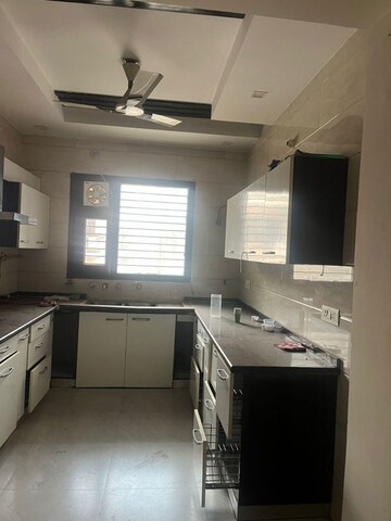 Kitchen in 4 BHK Builder Floor at Sector 14 – for Rent
