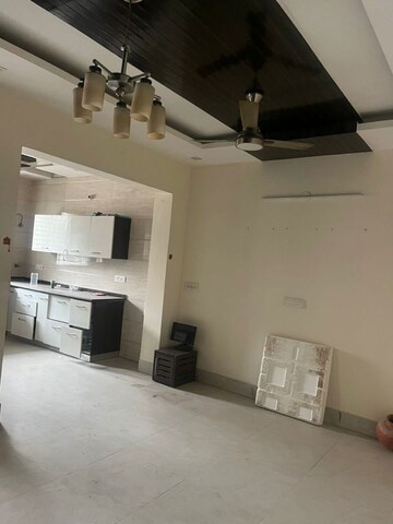 Kitchen in 4 BHK Builder Floor at Sector 14 – for Rent