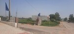 100 Sq.Yd. Plot in Jewar