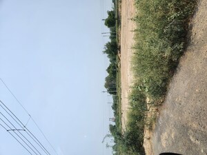  Plot For Sale in Sector 98