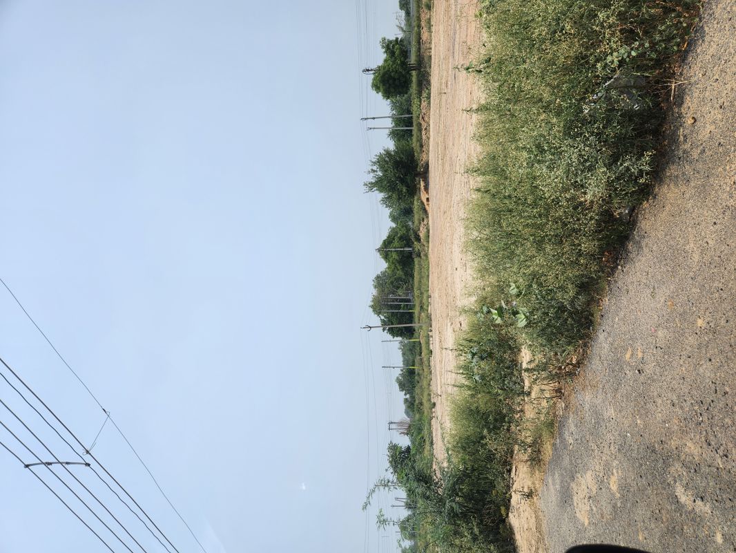 Plot For Sale in Sector 98