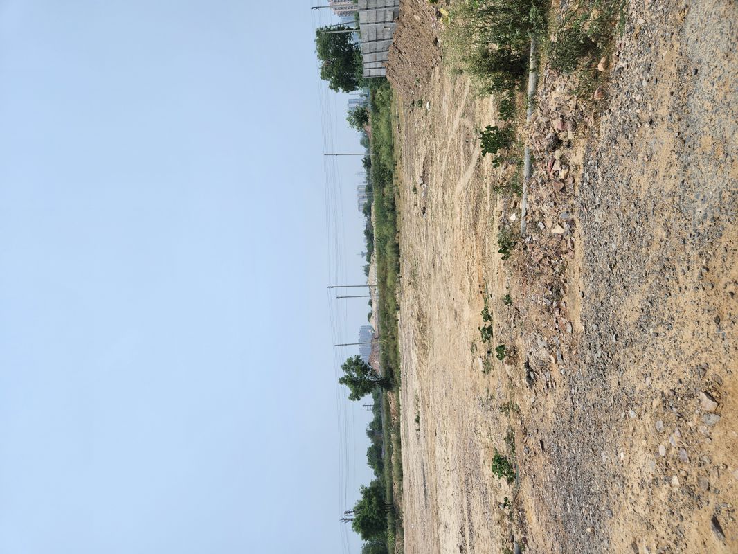 Plot For Sale in Sector 98