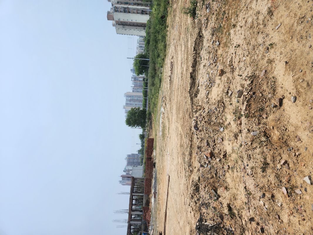 Plot For Sale in Sector 98