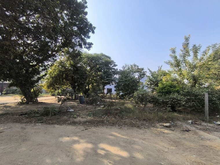 undefined, gsk-jay-shree-royal-greens  128 Sq.Yd. Plot In Pataudi Gurgaon 9826177