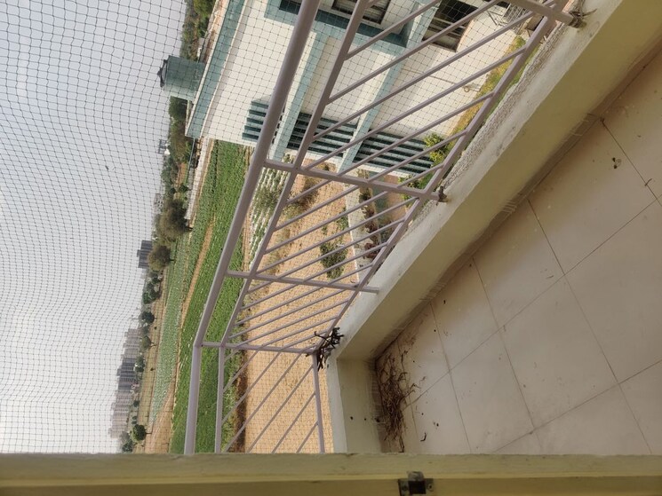 Balcony, dhanuka-sunshine-symphony 3 Bedroom 1430 Sq.Ft. Apartment In Ajmer Road Jaipur 9731041