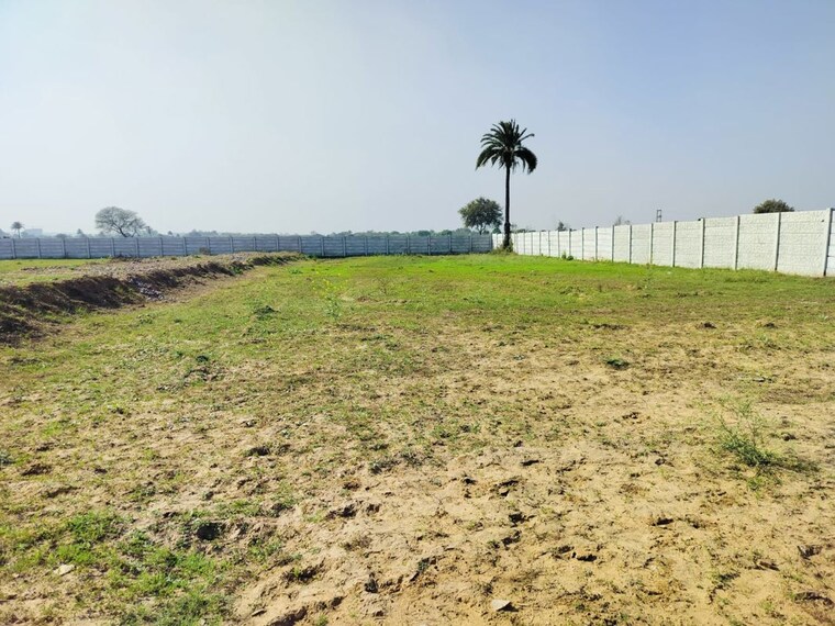 undefined, sohna sector 5  100 Sq.Yd. Plot In Sohna Sector 5 Gurgaon 9826319