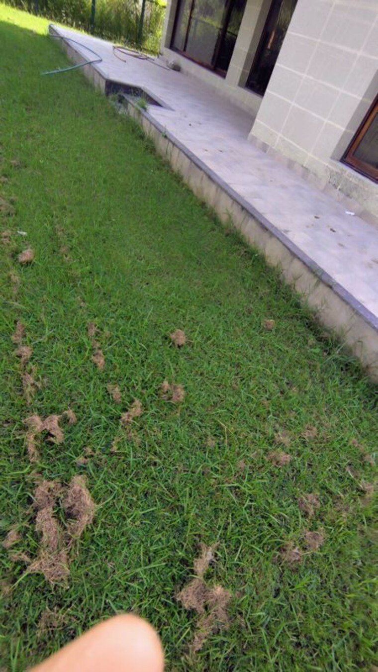 Garden, vedic-greentech-city-golf-grove-villas 5 Bedroom 5700 Sq.Ft. Villa In Rajarhat Kolkata 9826410