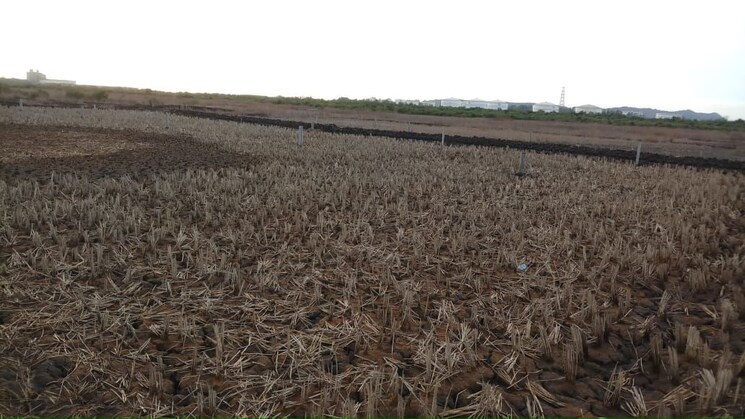 undefined, chirle  1000 Sq.Yd. Plot In Chirle Navi Mumbai 9826426