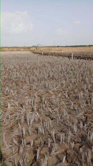 Plot Area in  Plot at Chirle – for Sale