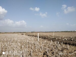 Plot Area in  Plot at Chirle – for Sale